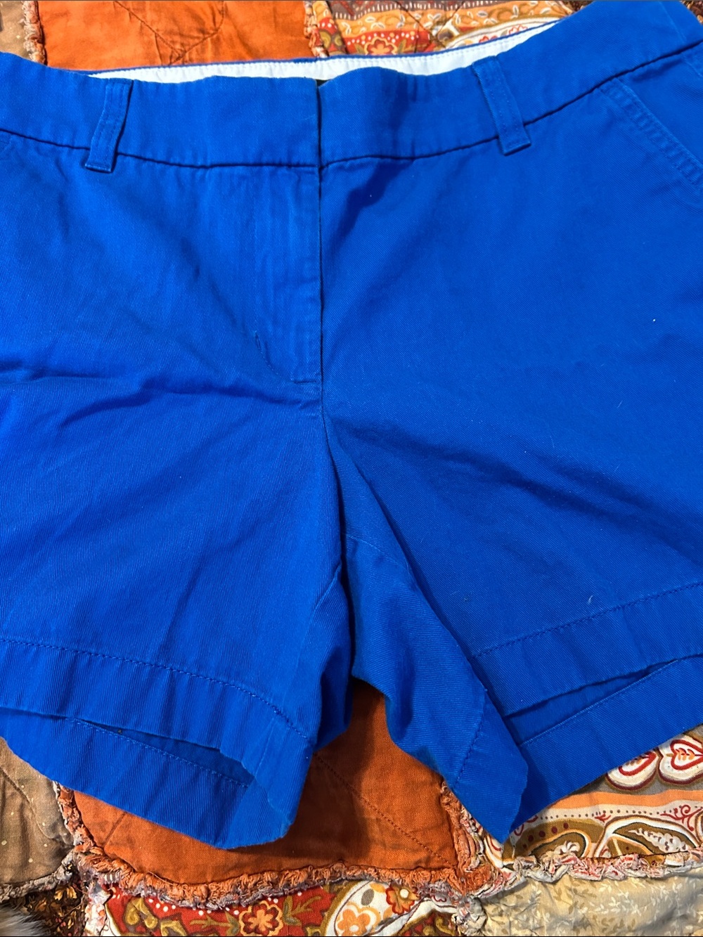 J. Crew Bright Royal Blue Women's Shorts